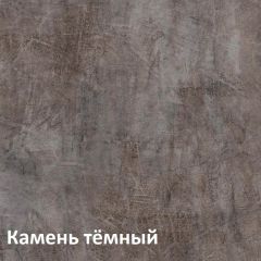 Крафт Полка для обуви 15.63 в Полевском - polevskoy.mebel24.online | фото 4
