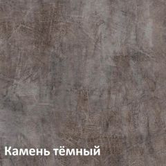Крафт Полка навесная 15.64 в Полевском - polevskoy.mebel24.online | фото 4
