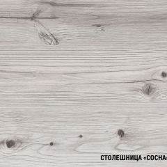 Кухонный гарнитур Сиена мини 1000 мм в Полевском - polevskoy.mebel24.online | фото 8