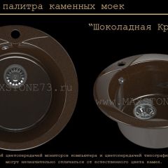Мойка кухонная MS-1 (D470) в Полевском - polevskoy.mebel24.online | фото 11