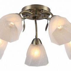 Потолочная люстра Rivoli Olivia Б0052693 в Полевском - polevskoy.mebel24.online | фото