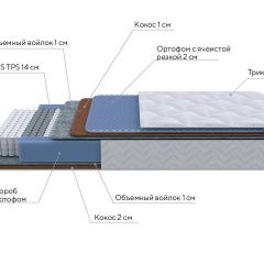 PROxSON Матрас Active Duo M/F (Ткань Трикотаж Эко) 90x195 в Полевском - polevskoy.mebel24.online | фото 7