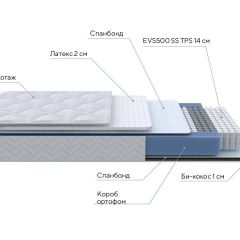 PROxSON Матрас Active Duo S/F (Ткань Трикотаж Эко) 140x190 в Полевском - polevskoy.mebel24.online | фото 7