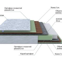 PROxSON Матрас Green M (Tricotage Dream) 120x220 в Полевском - polevskoy.mebel24.online | фото 10