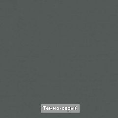 Шкаф 2-х створчатый с зеркалом "Ольга-Лофт 3.1" в Полевском - polevskoy.mebel24.online | фото 4