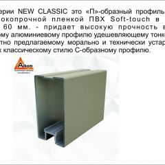 Шкаф-купе 1500 серии NEW CLASSIC K3+K3+B2+PL1 (2 ящика+1 штанга) профиль «Капучино» в Полевском - polevskoy.mebel24.online | фото 5