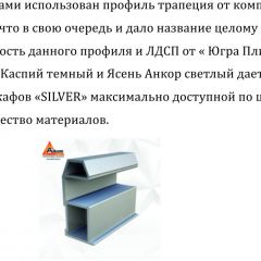 Шкаф-купе 1500 серии SILVER S1+S1+B2+PL2 (2 ящика+1 штанга+1 полка) профиль «Серебро» в Полевском - polevskoy.mebel24.online | фото 4