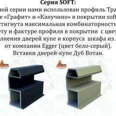 Шкаф-купе 1800 серии SOFT D8+D2+B2+PL4 (2 ящика+F обр.штанга) профиль «Графит» в Полевском - polevskoy.mebel24.online | фото 12