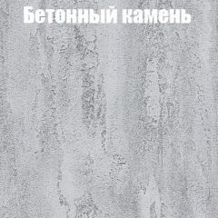 Шкаф-купе Бассо 1.0 (Дуб Крафт серый/Бетонный камень) 2 двери ЛДСП в Полевском - polevskoy.mebel24.online | фото 3