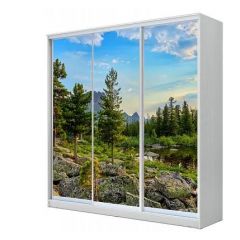 Шкаф-купе ХИТ 24-20-777 (620) в Полевском - polevskoy.mebel24.online | фото