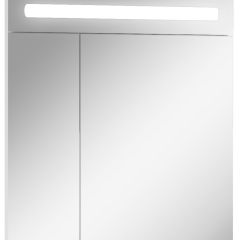 Шкаф-зеркало Аврора 65 с подсветкой LED Домино (DV8006HZ) в Полевском - polevskoy.mebel24.online | фото