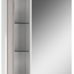 Шкаф-зеркало Uno 60 Дуб серый левый/правый Домино (DU1503HZ) в Полевском - polevskoy.mebel24.online | фото 3