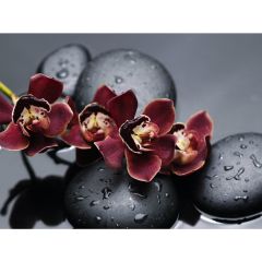 Стол обеденный Бостон Ст101.1 орхидеи в Полевском - polevskoy.mebel24.online | фото 3
