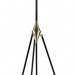 Светильник на штанге Lightstar Modena 816047 в Полевском - polevskoy.mebel24.online | фото