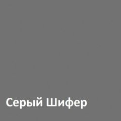 Юнона Шкаф торцевой 13.221 в Полевском - polevskoy.mebel24.online | фото 2