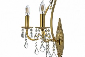 Бра Arti Lampadari Ercolano Ercolano E 2.1.2.602 G в Полевском - polevskoy.mebel24.online | фото 6
