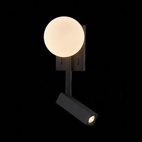 Бра с подсветкой ST-Luce Botelli SL1581.401.02 в Полевском - polevskoy.mebel24.online | фото