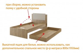 Дуглас (подростковая) М14 Кровать в Полевском - polevskoy.mebel24.online | фото 5