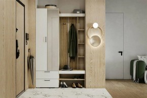 Гарнитур для прихожей Торонто в Полевском - polevskoy.mebel24.online | фото 5
