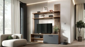 КАРОЛИНА Гостиная (дуб вотан/графит) в Полевском - polevskoy.mebel24.online | фото