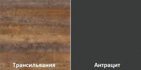 Кухонный гарнитур угловой Трансильвания 2600х1600 мм (Стол. 26 мм) в Полевском - polevskoy.mebel24.online | фото 3