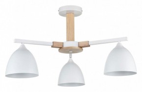 Люстра на штанге Lumion Colange 8095/3C в Полевском - polevskoy.mebel24.online | фото