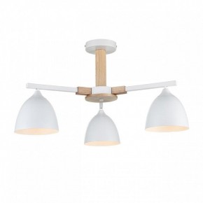 Люстра на штанге Lumion Colange 8095/3C в Полевском - polevskoy.mebel24.online | фото 2