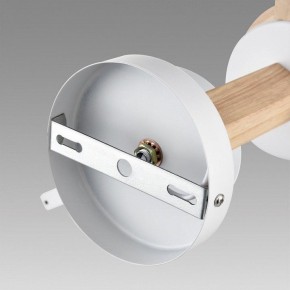 Люстра на штанге Lumion Colange 8095/3C в Полевском - polevskoy.mebel24.online | фото 6