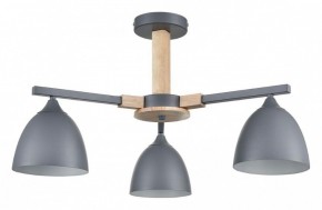 Люстра на штанге Lumion Colange 8096/3C в Полевском - polevskoy.mebel24.online | фото