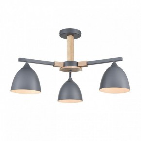Люстра на штанге Lumion Colange 8096/3C в Полевском - polevskoy.mebel24.online | фото 2