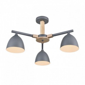 Люстра на штанге Lumion Colange 8096/3C в Полевском - polevskoy.mebel24.online | фото 3