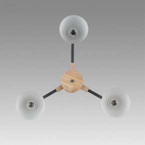 Люстра на штанге Lumion Colange 8096/3C в Полевском - polevskoy.mebel24.online | фото 4