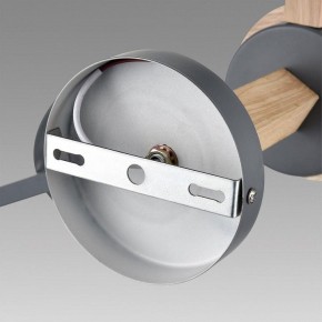 Люстра на штанге Lumion Colange 8096/3C в Полевском - polevskoy.mebel24.online | фото 6