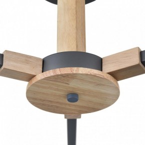 Люстра на штанге Lumion Colange 8096/3C в Полевском - polevskoy.mebel24.online | фото 7