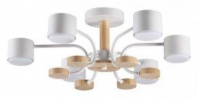 Люстра на штанге Lumion Rondo 8231/6C в Полевском - polevskoy.mebel24.online | фото