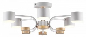 Люстра на штанге Lumion Rondo 8231/6C в Полевском - polevskoy.mebel24.online | фото 2