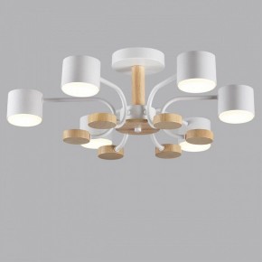 Люстра на штанге Lumion Rondo 8231/6C в Полевском - polevskoy.mebel24.online | фото 4