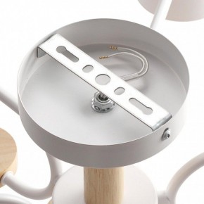 Люстра на штанге Lumion Rondo 8231/6C в Полевском - polevskoy.mebel24.online | фото 6
