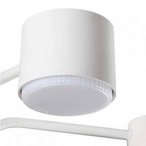 Люстра на штанге Lumion Rondo 8231/6C в Полевском - polevskoy.mebel24.online | фото 7