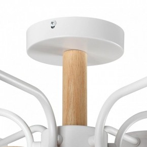 Люстра на штанге Lumion Rondo 8231/6C в Полевском - polevskoy.mebel24.online | фото 8