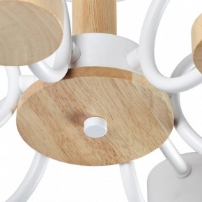 Люстра на штанге Lumion Rondo 8231/6C в Полевском - polevskoy.mebel24.online | фото 9