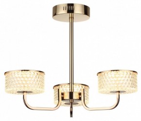Люстра на штанге Lumion Venice 6579/40CL в Полевском - polevskoy.mebel24.online | фото 5