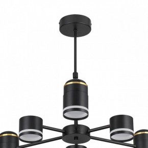 Люстра на штанге Lumion Virsava 8234/6C в Полевском - polevskoy.mebel24.online | фото 5