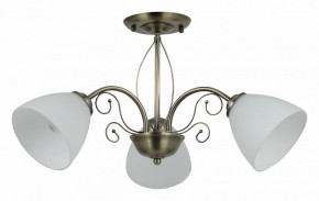 Люстра на штанге Rivoli Sue Б0060985 в Полевском - polevskoy.mebel24.online | фото