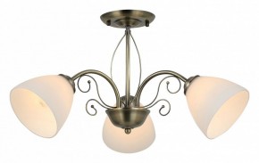 Люстра на штанге Rivoli Sue Б0060985 в Полевском - polevskoy.mebel24.online | фото 2
