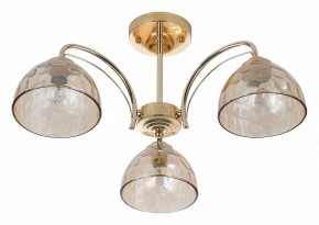 Люстра на штанге Rivoli Terri Б0060988 в Полевском - polevskoy.mebel24.online | фото 2