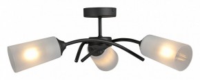 Люстра на штанге Vitaluce V2850 V2850-1/3PL в Полевском - polevskoy.mebel24.online | фото 3