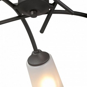 Люстра на штанге Vitaluce V2850 V2850-1/5PL в Полевском - polevskoy.mebel24.online | фото 6