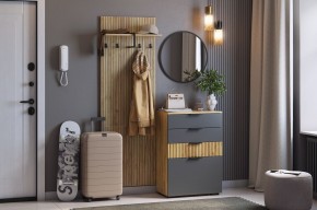 МЕБЕЛЬСОН К3 Прихожая (графит) в Полевском - polevskoy.mebel24.online | фото