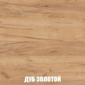 МСП-1 Шкаф 2-х створчатый (Дуб Золотой/Камень темный) в Полевском - polevskoy.mebel24.online | фото 4